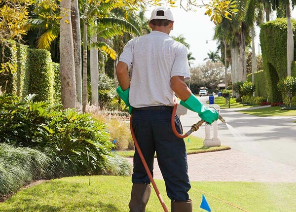 About West Charleston VT Pest Control Pros